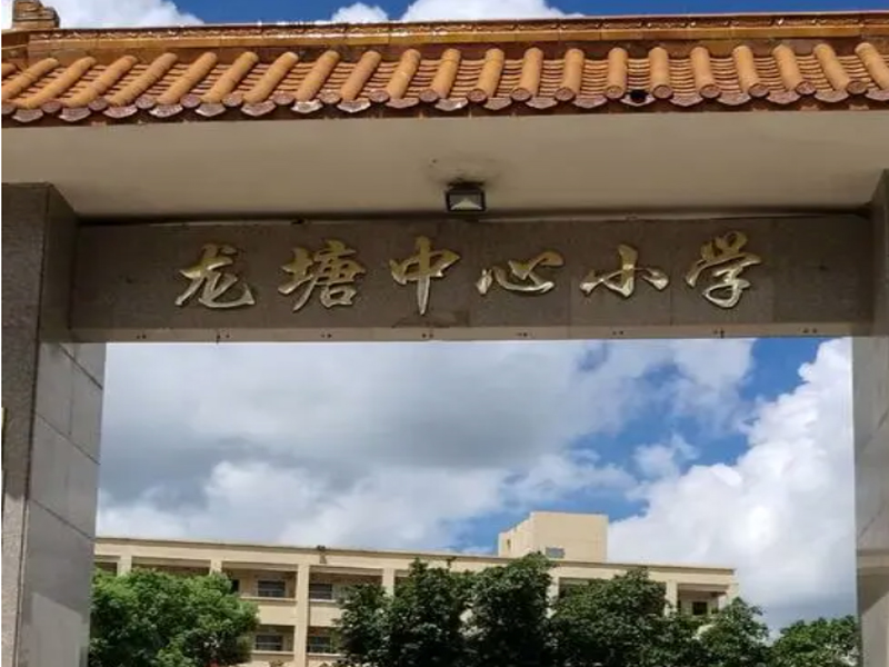 清遠龍?zhí)林行男W